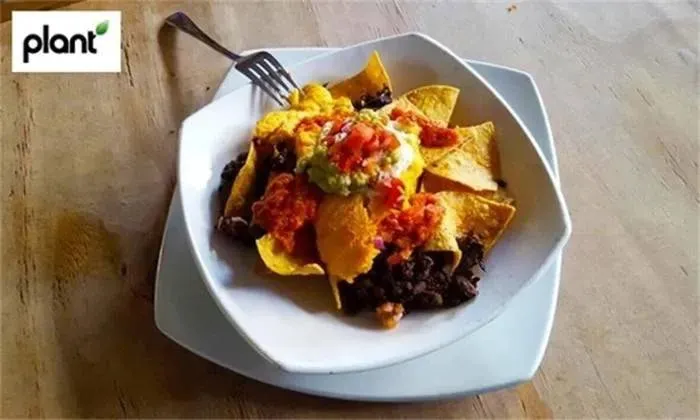 Choice of Gourmet Vegan Meal at Plant – Camps Bay