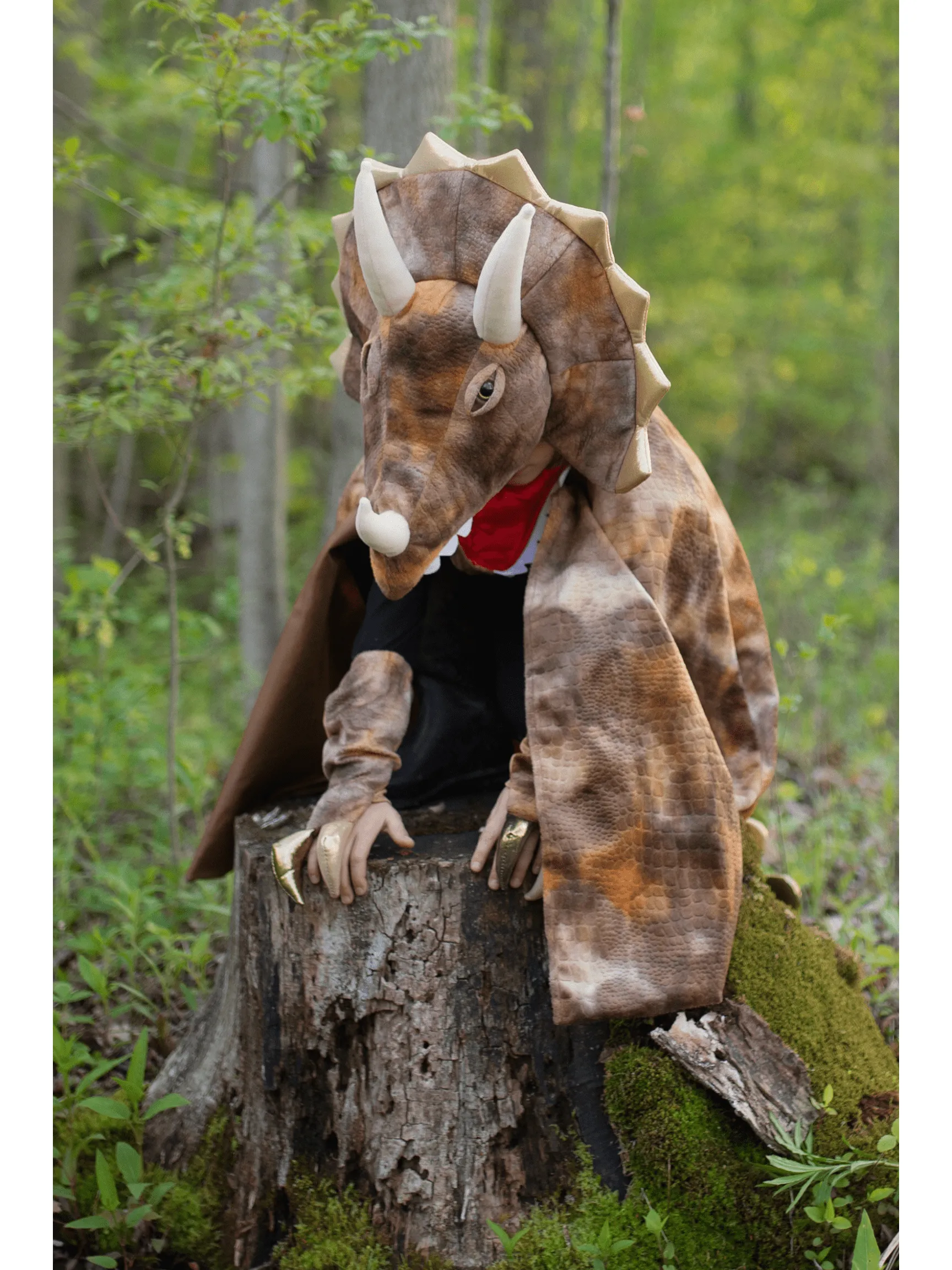 Grandasaurus Dinosaur Cape