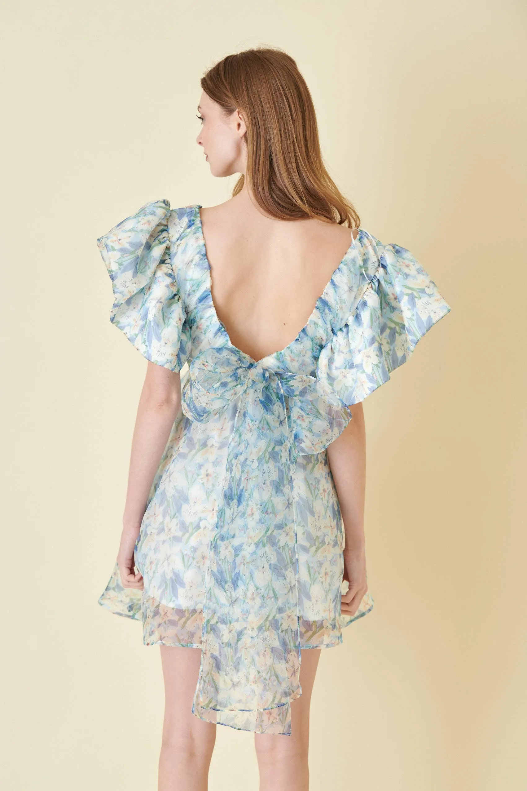 Watercolor Organza Bow Tie Mini Dress