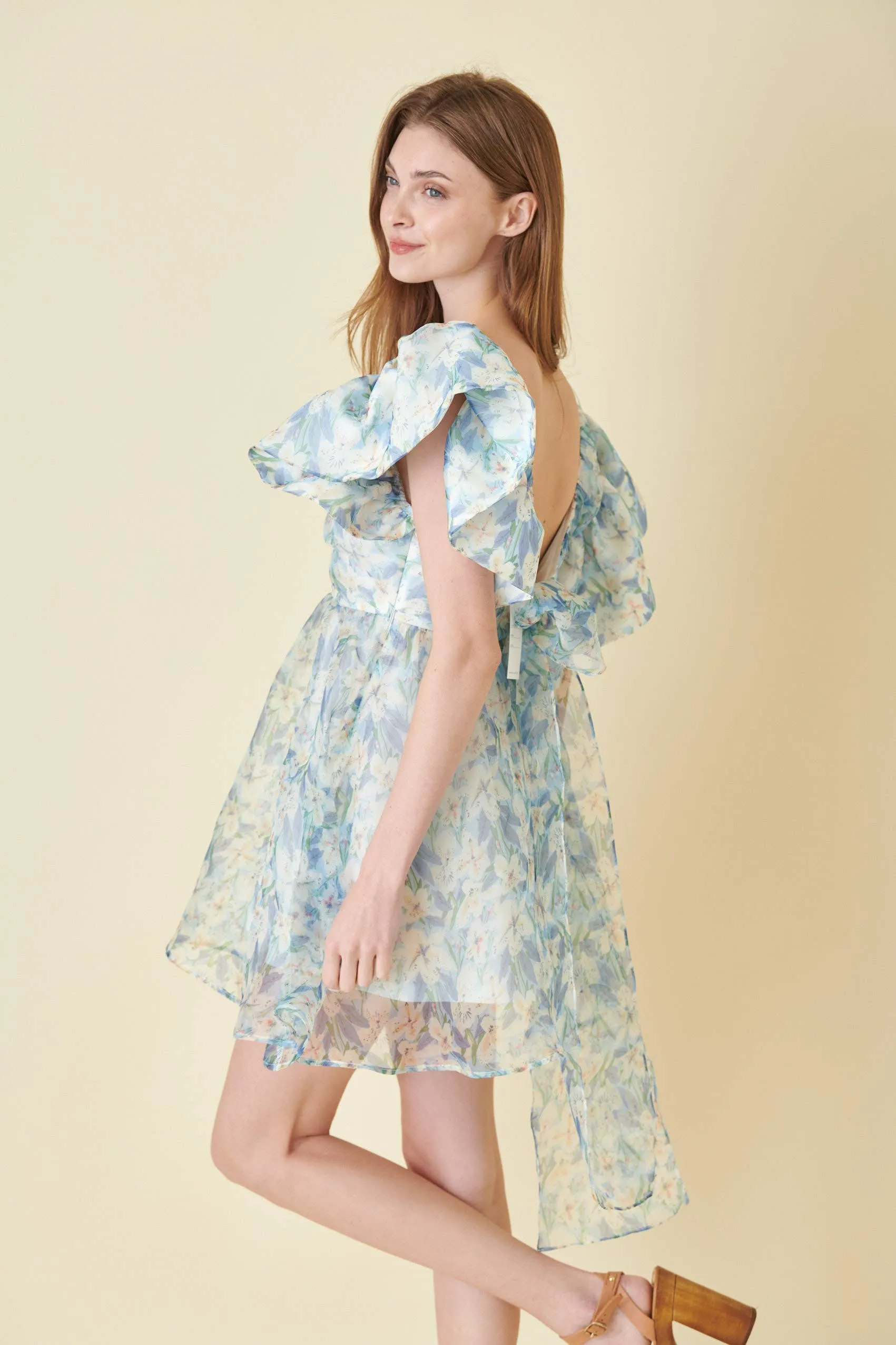 Watercolor Organza Bow Tie Mini Dress