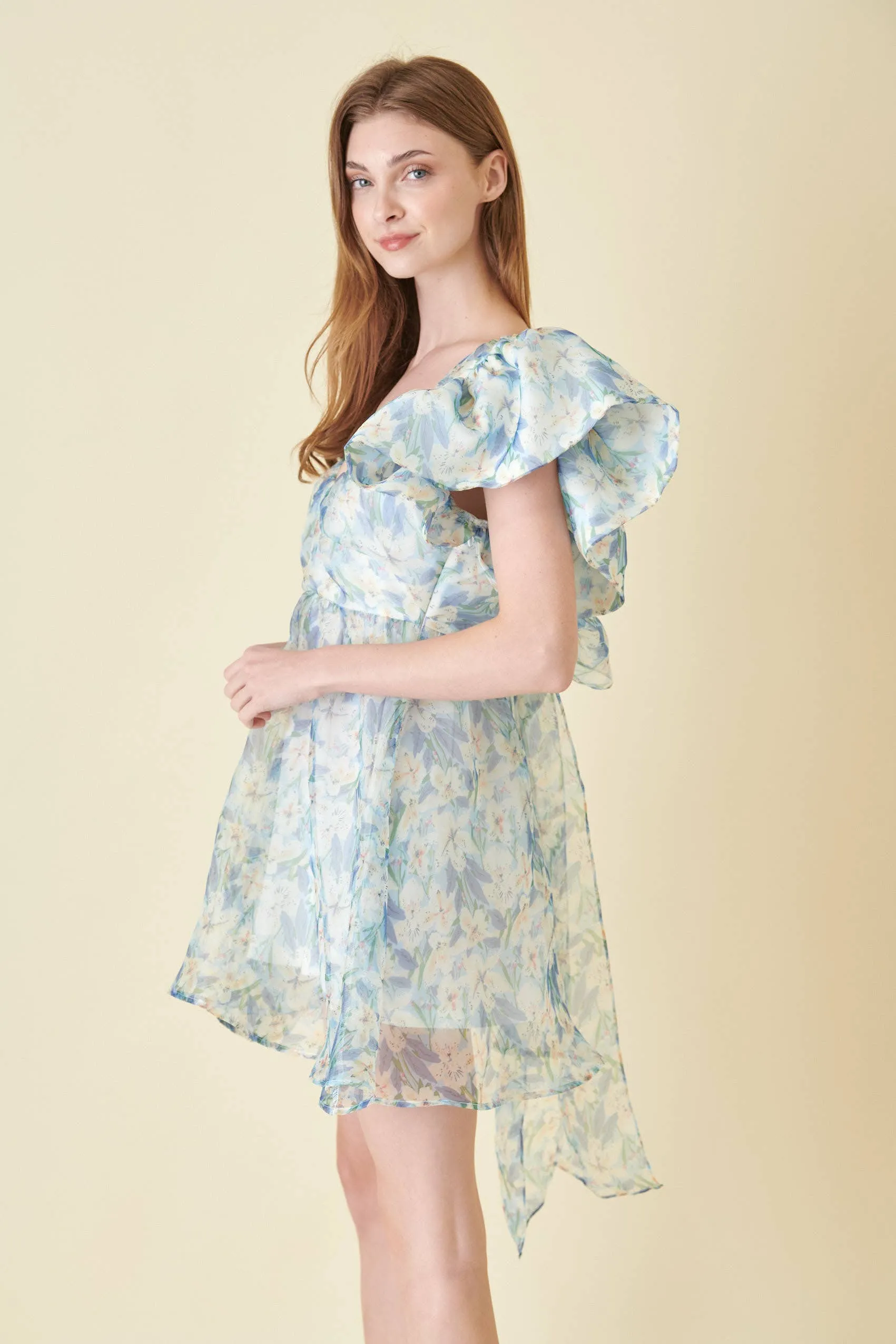 Watercolor Organza Bow Tie Mini Dress