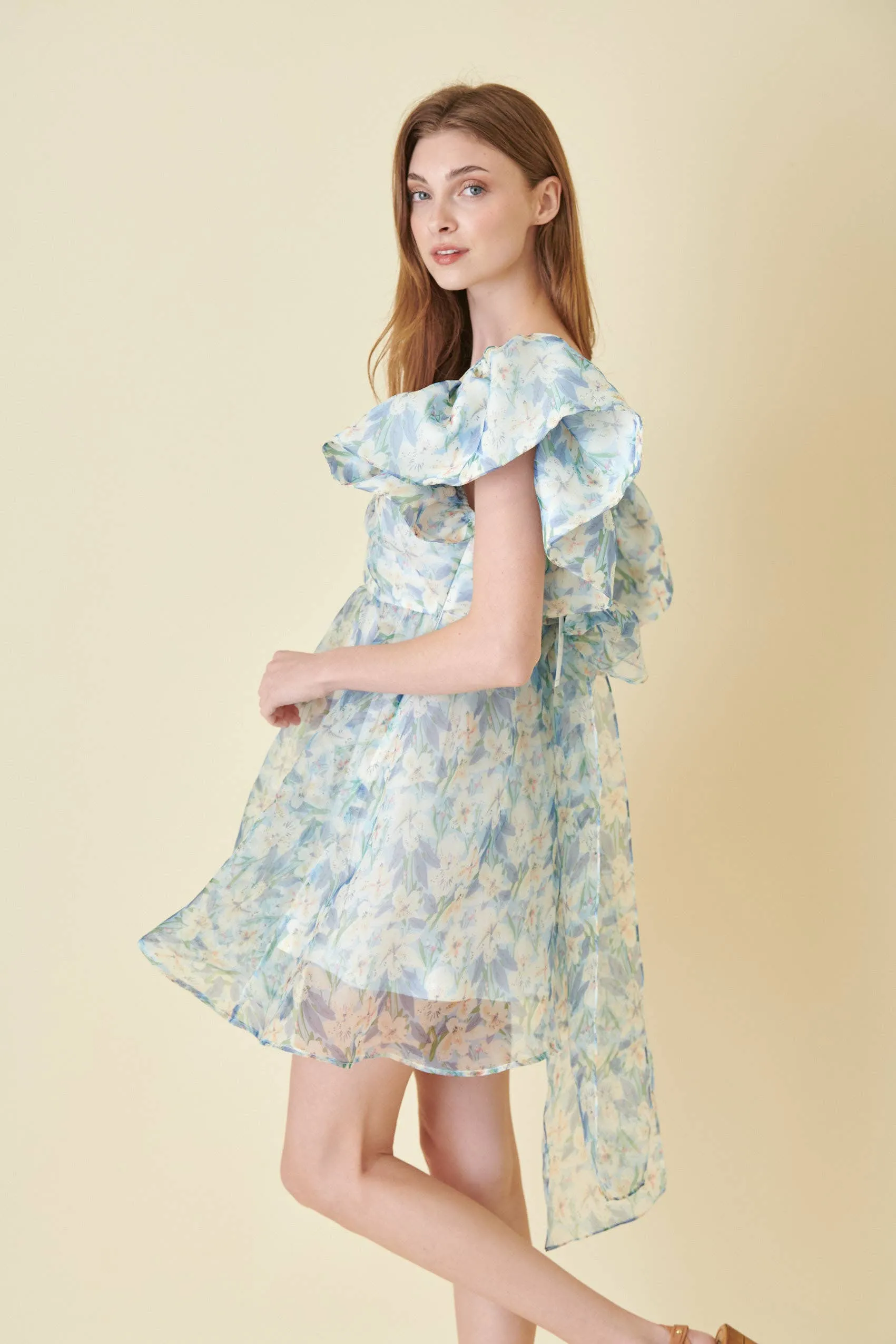 Watercolor Organza Bow Tie Mini Dress