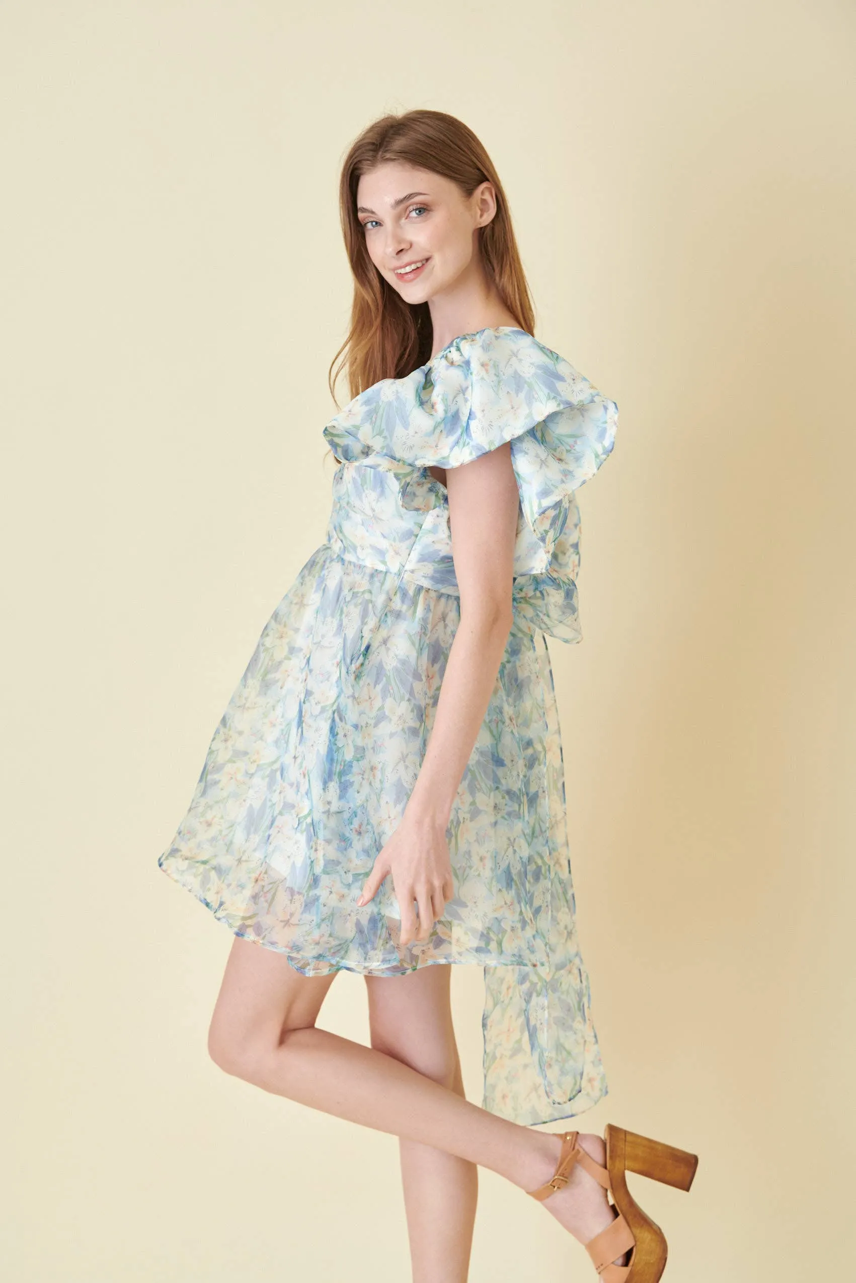 Watercolor Organza Bow Tie Mini Dress