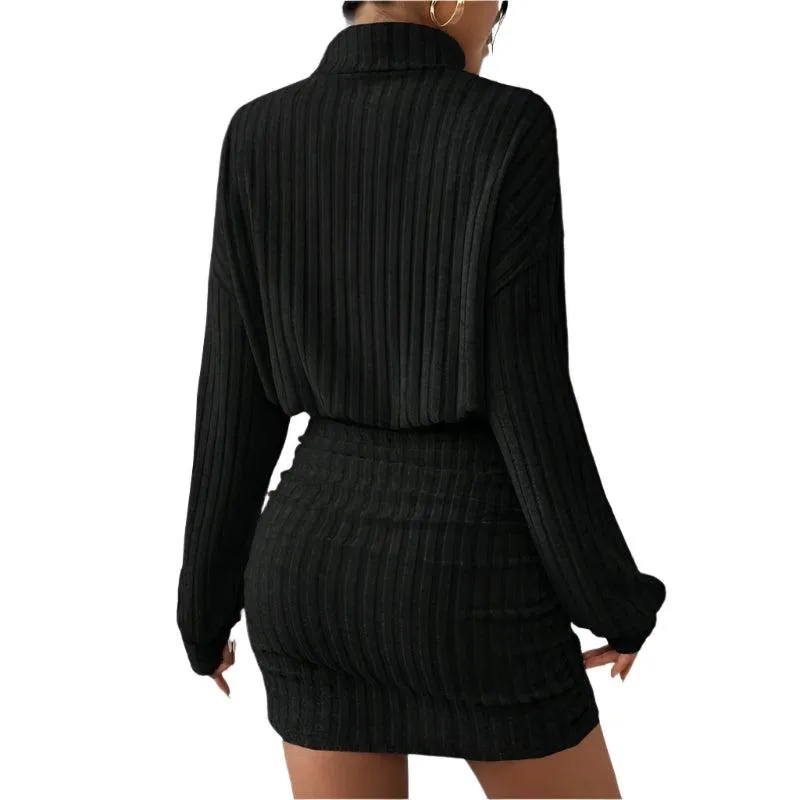 Women's High Neck Slim Knit Sweater Dress – Casual Long Sleeve Solid Mini Dress
